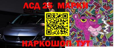 крисы Кинель
