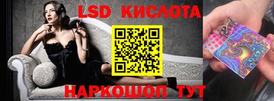 крисы Кинель