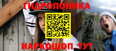 гашиш Кингисепп