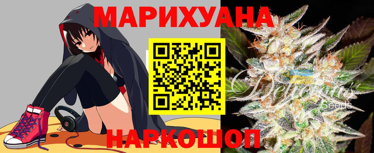 Бошки Шишки конопля Тельмана
